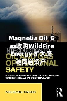 Magnolia Oil  Gas收购WildFire Energy 扩大鹰滩页岩资产-第3张图片