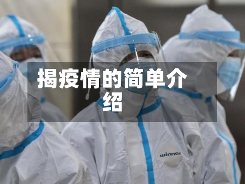揭疫情的简单介绍