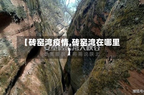 【砖窑湾疫情,砖窑湾在哪里】