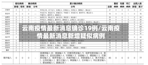 云南疫情最新消息确诊19例/云南疫情最新消息新增疑似病例-第2张图片