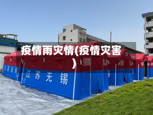 疫情雨灾情(疫情灾害)
