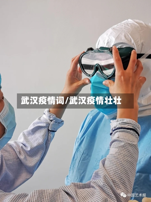 武汉疫情词/武汉疫情壮壮