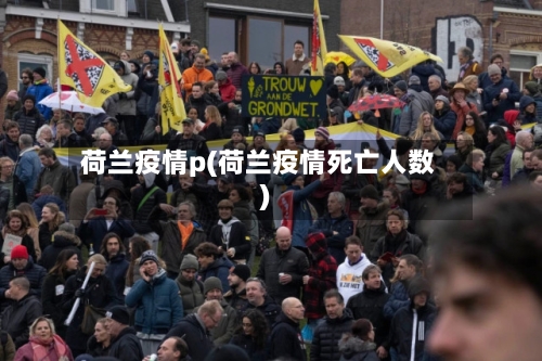 荷兰疫情p(荷兰疫情死亡人数)