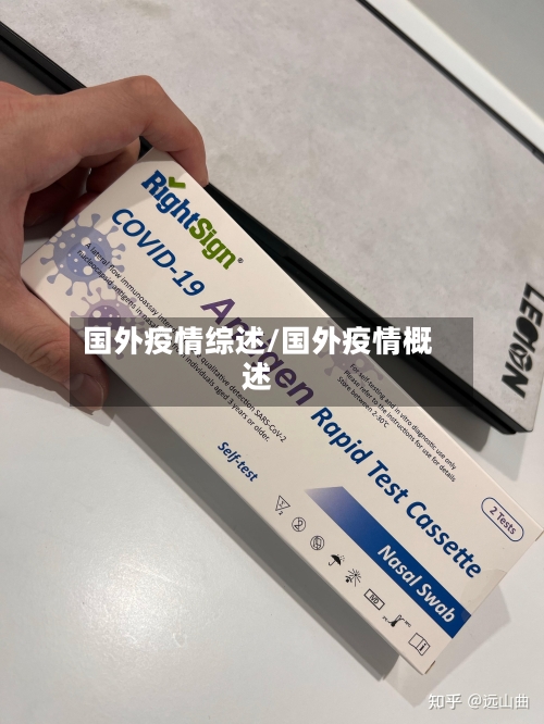 国外疫情综述/国外疫情概述-第3张图片