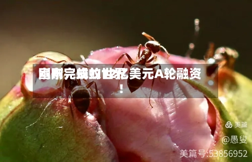 刚刚，蚂蚁世界宣布完成约12亿美元A轮融资！-第2张图片