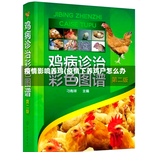 疫情影响养鸡(疫情下养鸡户怎么办)