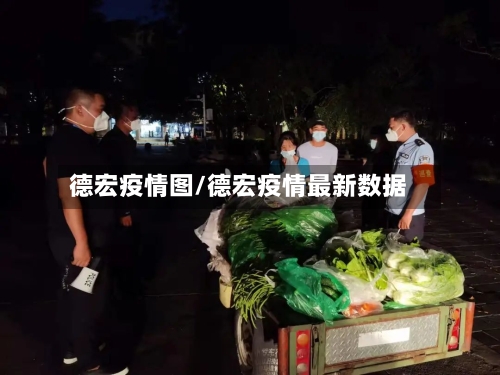 德宏疫情图/德宏疫情最新数据-第2张图片
