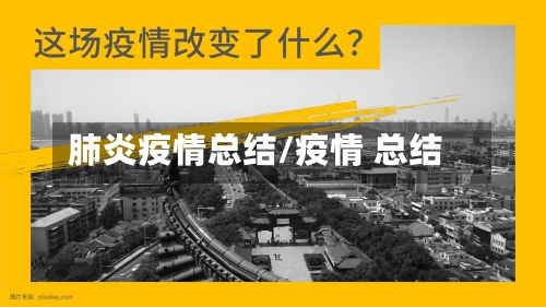 肺炎疫情总结/疫情 总结