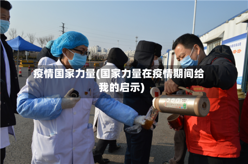 疫情国家力量(国家力量在疫情期间给我的启示)-第3张图片