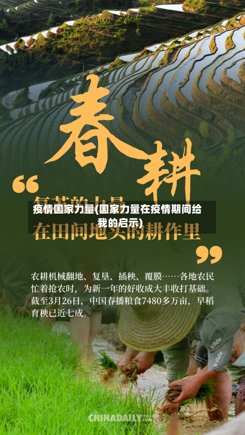 疫情国家力量(国家力量在疫情期间给我的启示)-第2张图片