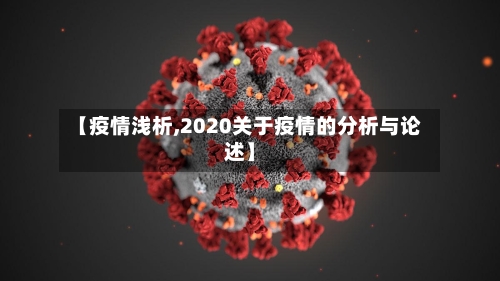 【疫情浅析,2020关于疫情的分析与论述】-第3张图片