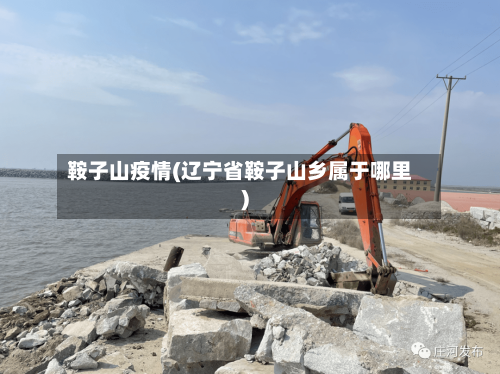 鞍子山疫情(辽宁省鞍子山乡属于哪里)-第2张图片