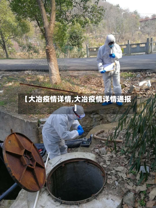 【大冶疫情详情,大冶疫情详情通报】-第2张图片