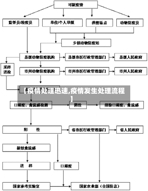 【疫情处理迅速,疫情发生处理流程】