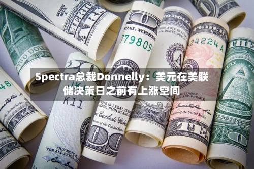 Spectra总裁Donnelly：美元在美联储决策日之前有上涨空间-第3张图片