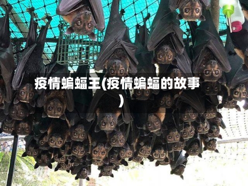 疫情蝙蝠王(疫情蝙蝠的故事)-第2张图片