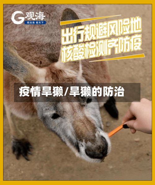 疫情旱獭/旱獭的防治