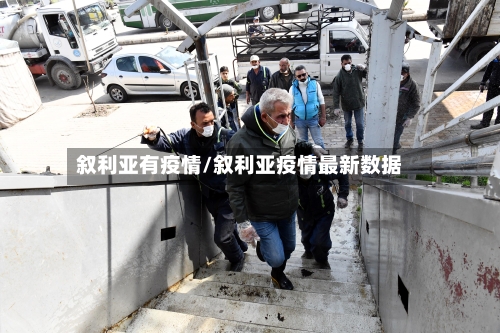 叙利亚有疫情/叙利亚疫情最新数据-第2张图片