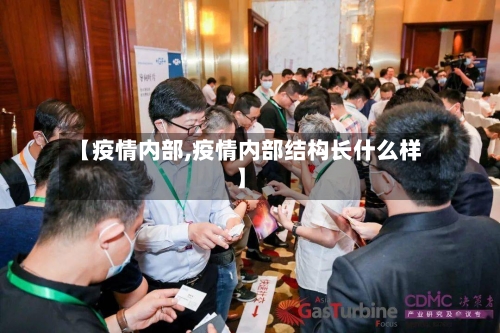 【疫情内部,疫情内部结构长什么样】