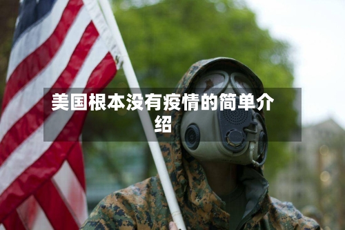 美国根本没有疫情的简单介绍-第2张图片