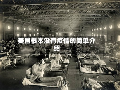 美国根本没有疫情的简单介绍