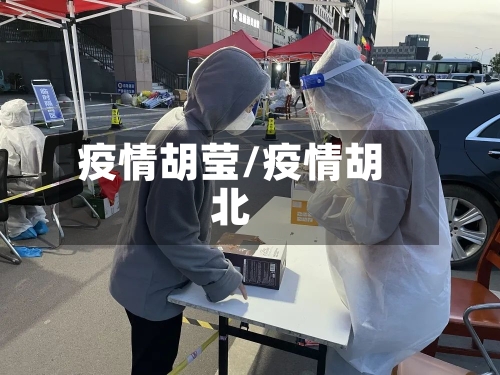疫情胡莹/疫情胡北-第2张图片