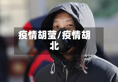 疫情胡莹/疫情胡北-第3张图片