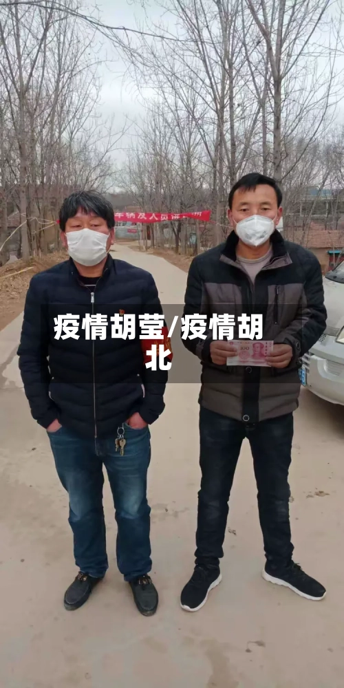 疫情胡莹/疫情胡北