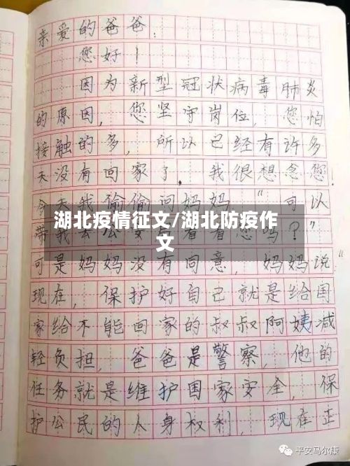 湖北疫情征文/湖北防疫作文