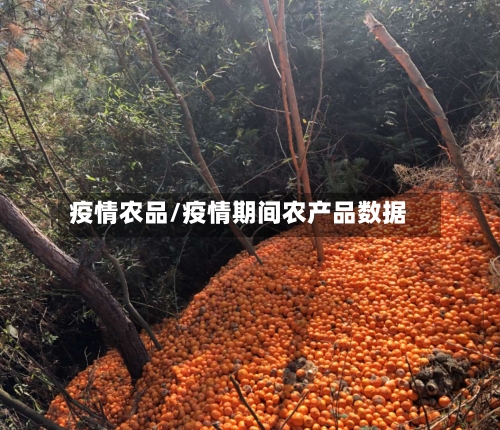疫情农品/疫情期间农产品数据