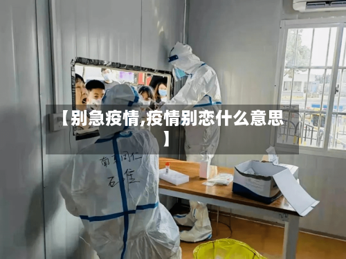 【别急疫情,疫情别恋什么意思】-第3张图片
