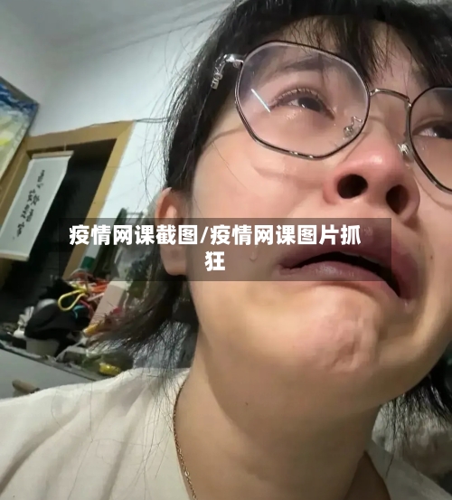 疫情网课截图/疫情网课图片抓狂