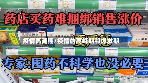 疫情高潮期/疫情的高峰期和爆发期