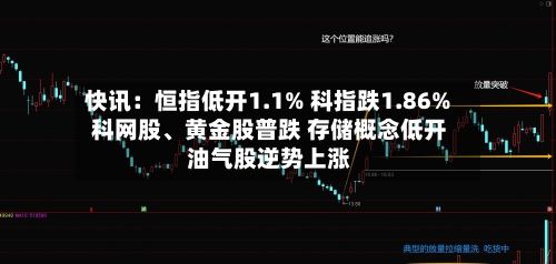 快讯：恒指低开1.1% 科指跌1.86% 科网股、黄金股普跌 存储概念低开 油气股逆势上涨-第3张图片