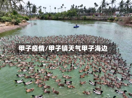 甲子疫情/甲子镇天气甲子海边-第2张图片
