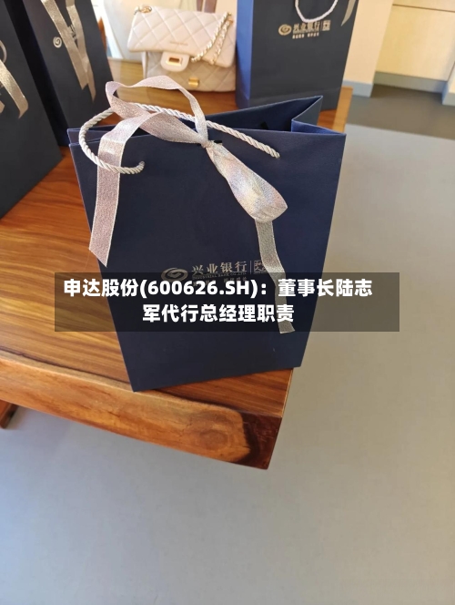 申达股份(600626.SH):董事长陆志军代行总经理职责-第2张图片