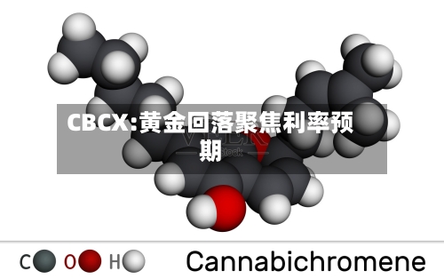 CBCX:黄金回落聚焦利率预期