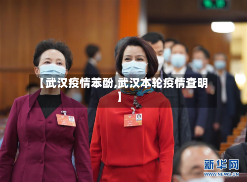 【武汉疫情苯酚,武汉本轮疫情查明】-第2张图片