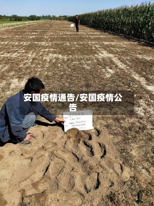 安国疫情通告/安国疫情公告-第2张图片