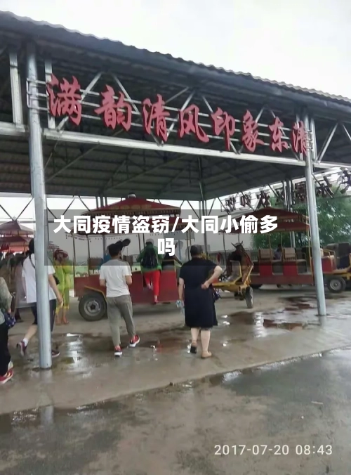 大同疫情盗窃/大同小偷多吗