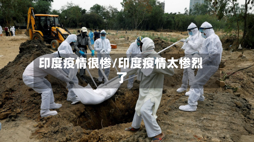 印度疫情很惨/印度疫情太惨烈了