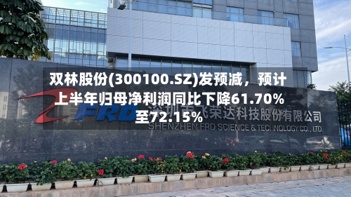 双林股份(300100.SZ)发预减，预计上半年归母净利润同比下降61.70%至72.15%-第2张图片