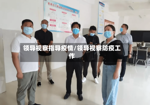 领导视察指导疫情/领导视察防疫工作