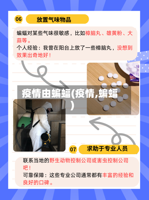 疫情由蝙蝠(疫情,蝙蝠)-第2张图片