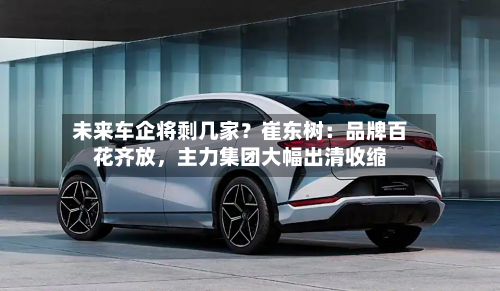未来车企将剩几家？崔东树：品牌百花齐放，主力集团大幅出清收缩-第3张图片