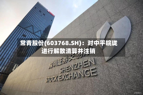 常青股份(603768.SH)：对中平皖珑进行解散清算并注销