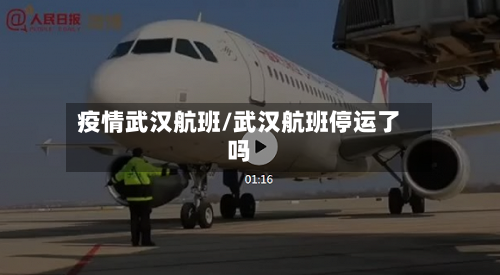疫情武汉航班/武汉航班停运了吗-第2张图片