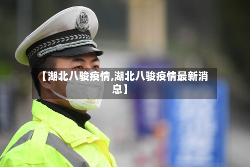 【湖北八骏疫情,湖北八骏疫情最新消息】-第3张图片