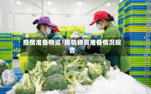 疫情准备物资/疫情物资准备情况报告