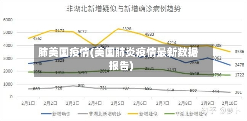 肺美国疫情(美国肺炎疫情最新数据报告)-第2张图片